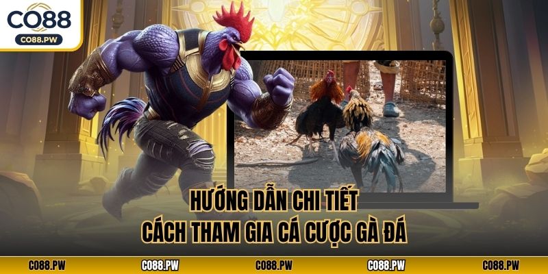 Hướng dẫn chi tiết cách tham gia cá cược gà đá