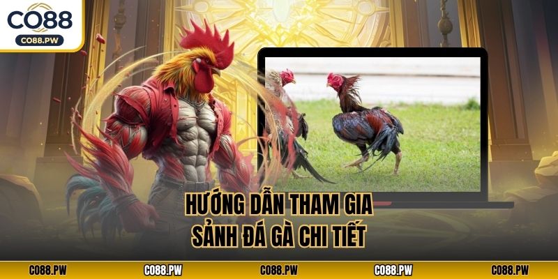 Hướng dẫn tham gia sảnh đá gà chi tiết