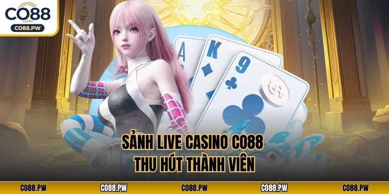 Sảnh Live Casino CO88 thu hút thành viên