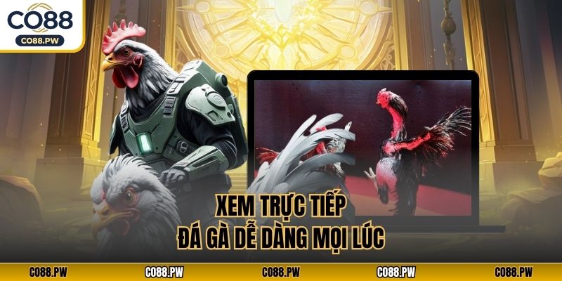 Xem trực tiếp đá gà dễ dàng mọi lúc